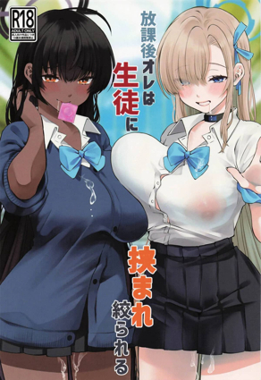 钢之炼金术师 封面